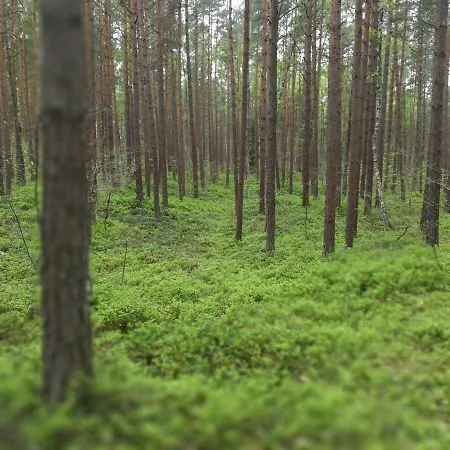 Cicha Dolinka Stegna (Pomerania)