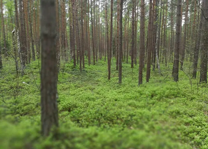 Cicha Dolinka ستيغنا